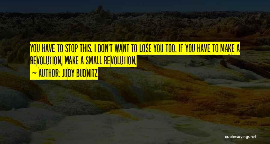 I Don't Want Lose You Quotes By Judy Budnitz