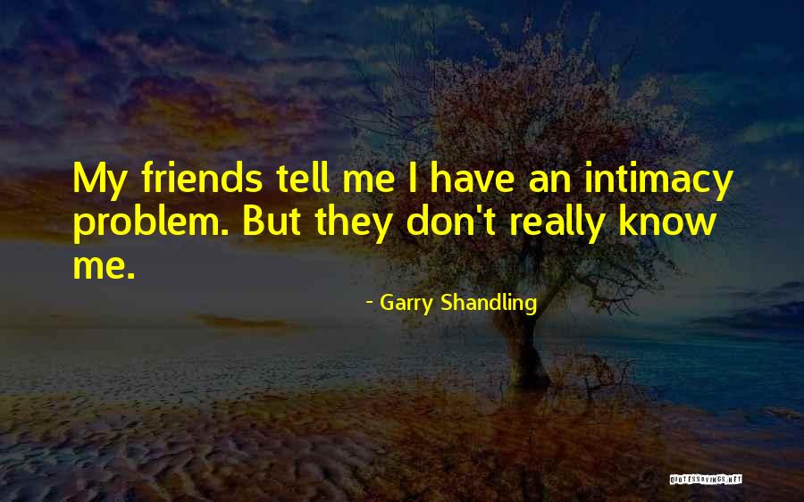 I Don't Want To Be More Than Friends Quotes By Garry Shandling I Don't Want To Be More Than Friends Quotes By Garry Shandling