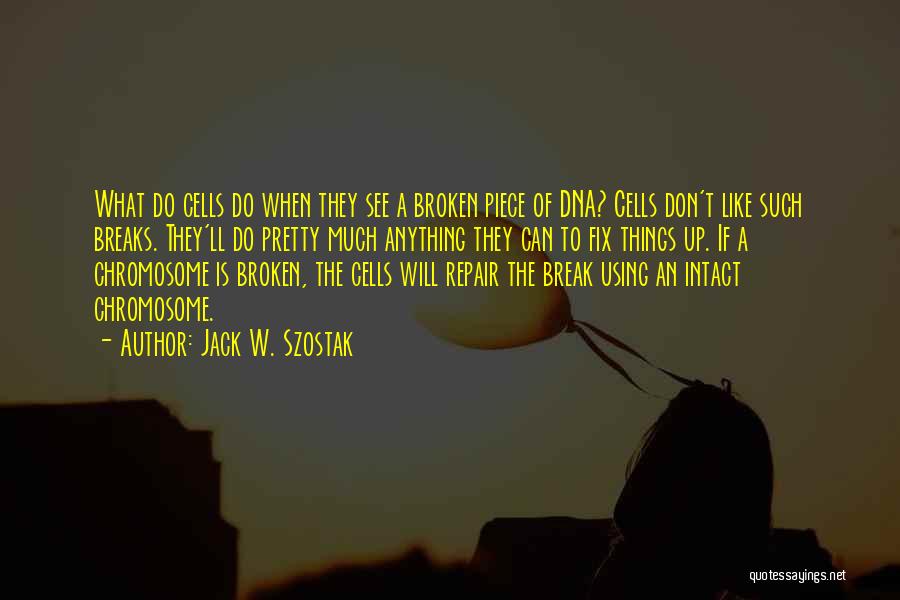 I Don't Want To Break Up With You Quotes By Jack W. Szostak