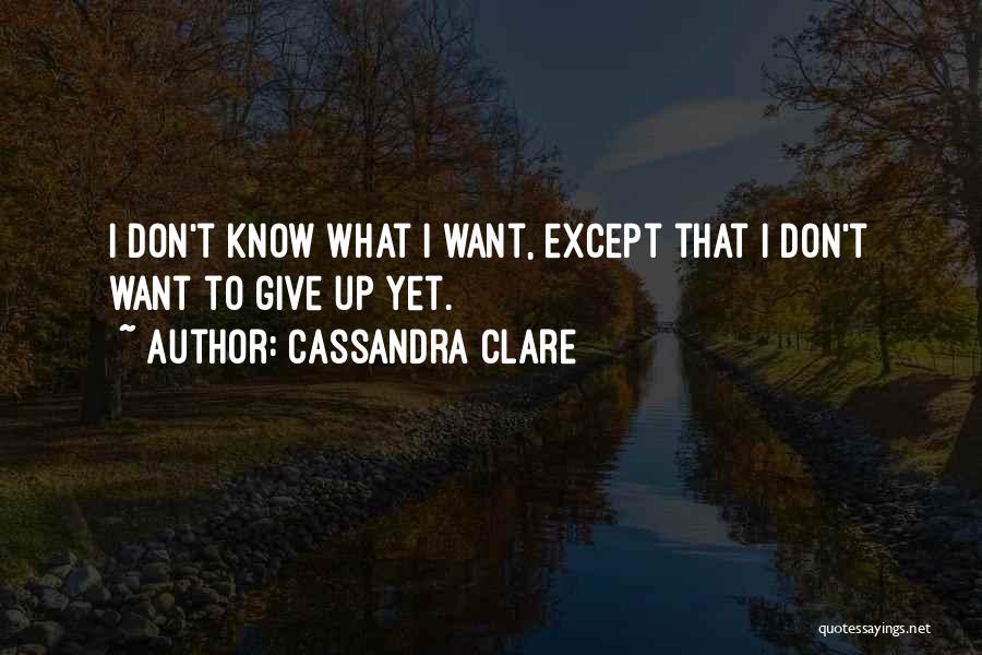 I Don't Want To Give Up Quotes By Cassandra Clare