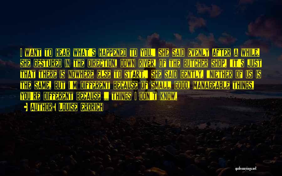 I Don't Want To Hear It Quotes By Louise Erdrich