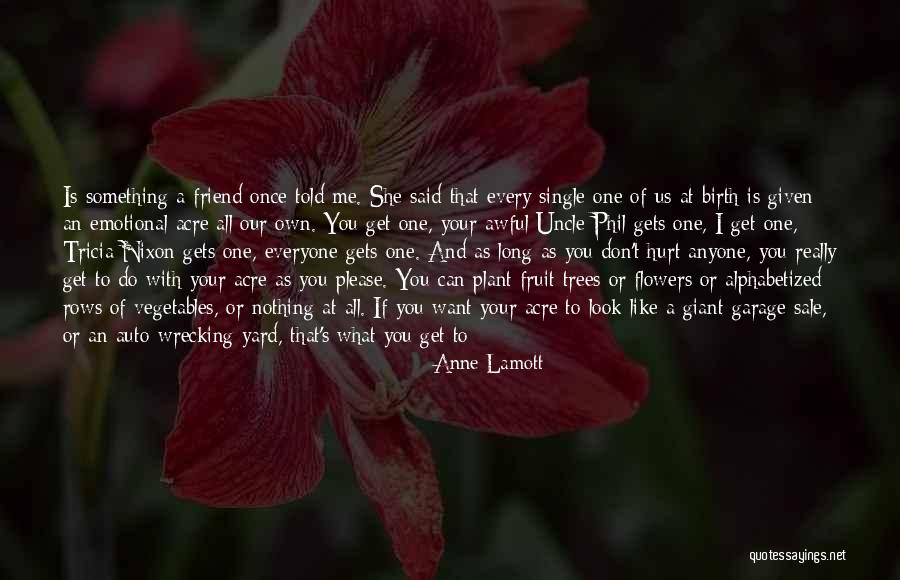 I Don't Want To Hurt Anyone Quotes By Anne Lamott