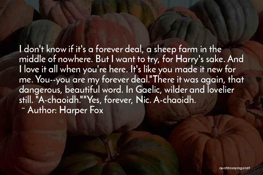 I Don't Want To Love Again Quotes By Harper Fox