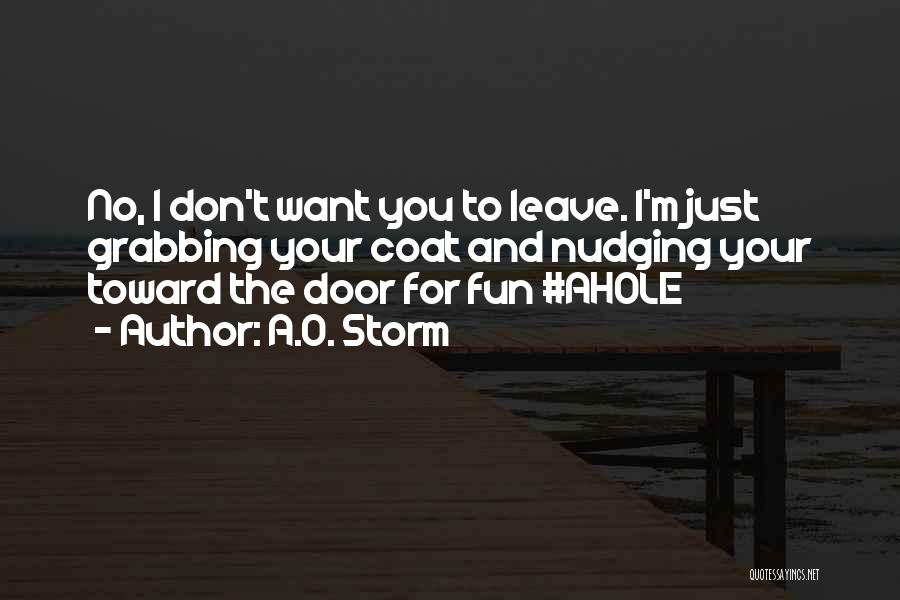 I Don't Want You To Leave Quotes By A.O. Storm