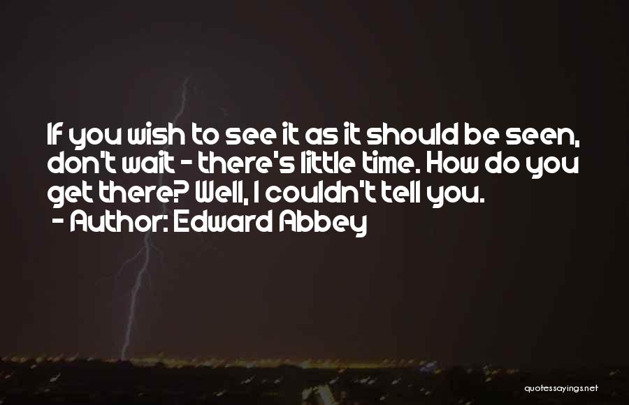 I Don't Wish You Well Quotes By Edward Abbey