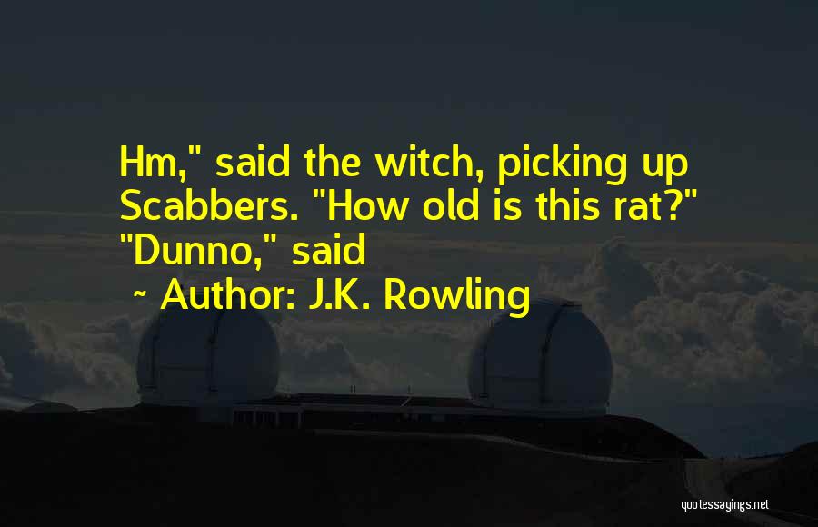 I Dunno What To Do Quotes By J.K. Rowling