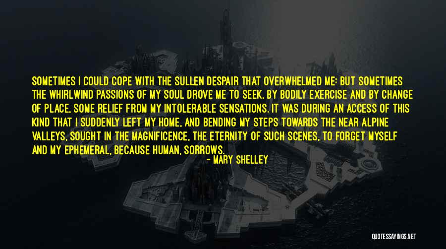 I Exercise Because Quotes By Mary Shelley I Exercise Because Quotes By Mary Shelley