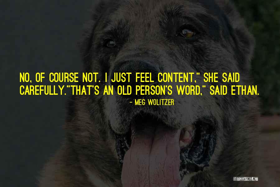 I Feel Content Quotes By Meg Wolitzer I Feel Content Quotes By Meg Wolitzer