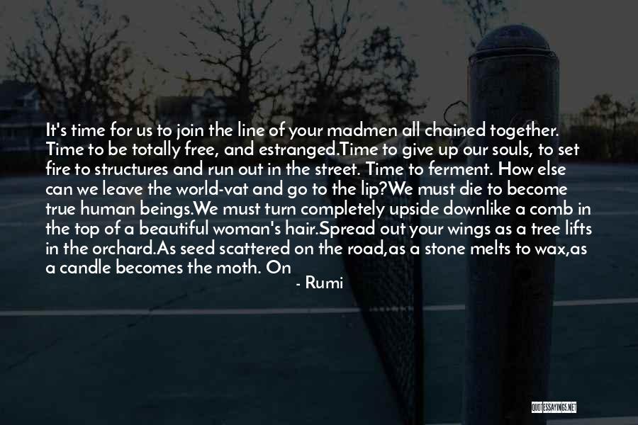I Feel Like A Queen Quotes By Rumi I Feel Like A Queen Quotes By Rumi