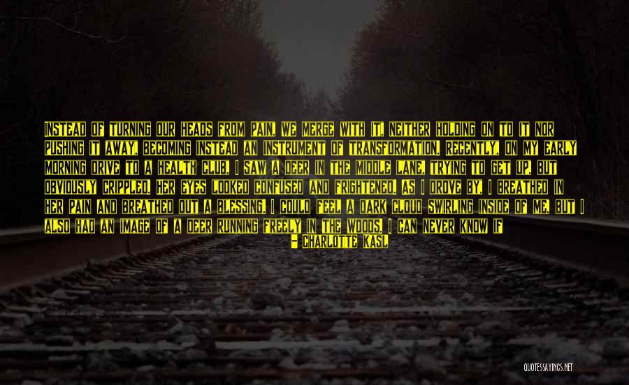 I Feel Lonely Quotes By Charlotte Kasl I Feel Lonely Quotes By Charlotte Kasl