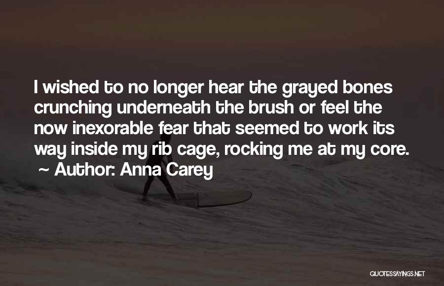 I Feel Lost Inside Myself Quotes By Anna Carey
