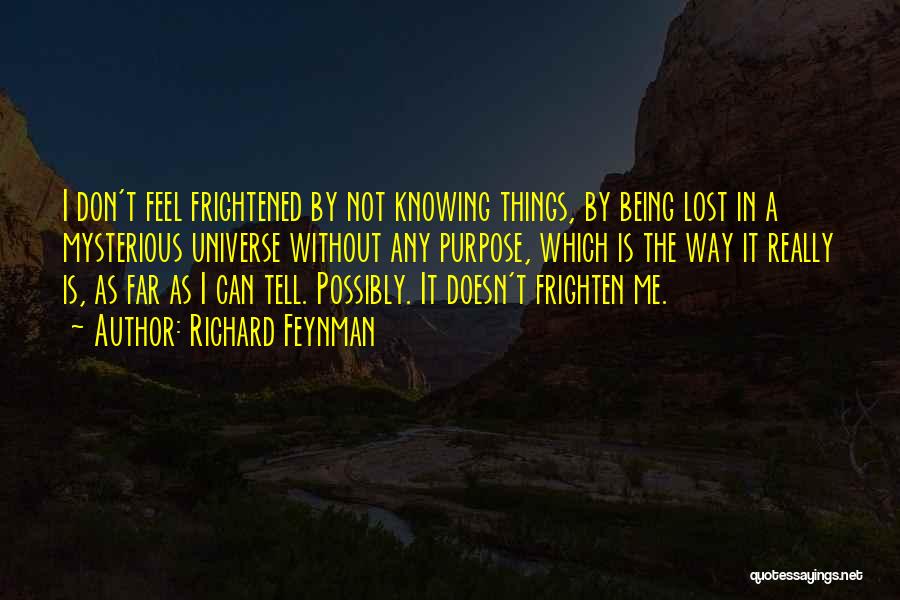 I Feel Lost Quotes By Richard Feynman