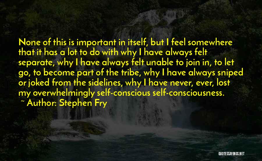 I Feel Lost Quotes By Stephen Fry