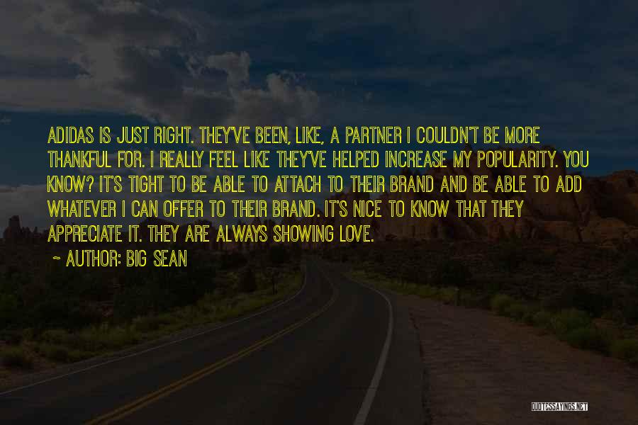 I Feel Love For You Quotes By Big Sean