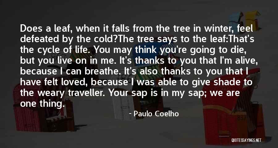 I Feel My Love Quotes By Paulo Coelho