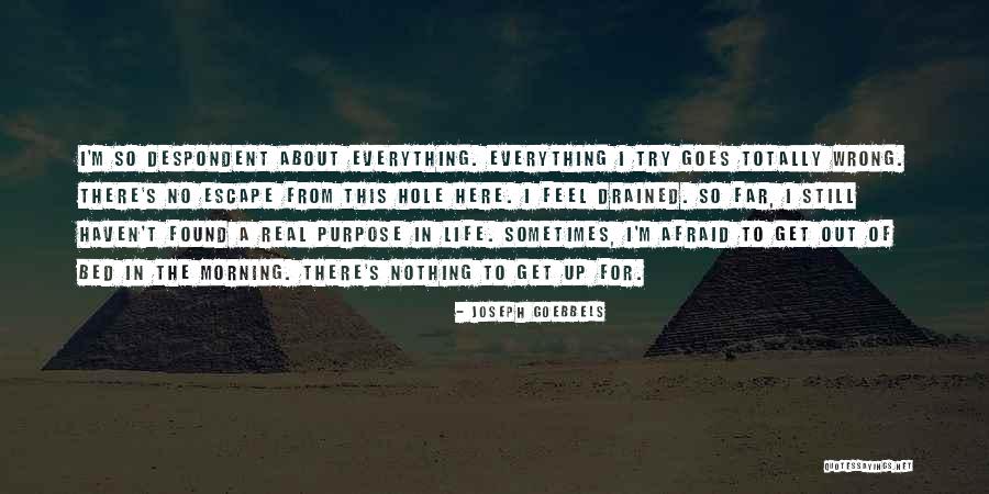 I Feel So Drained Quotes By Joseph Goebbels I Feel So Drained Quotes By Joseph Goebbels