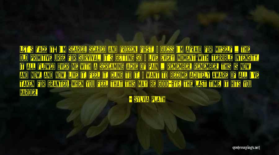 I Feel So Terrible Quotes By Sylvia Plath I Feel So Terrible Quotes By Sylvia Plath