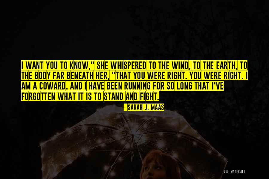 I Fight For What I Want Quotes By Sarah J. Maas I Fight For What I Want Quotes By Sarah J. Maas