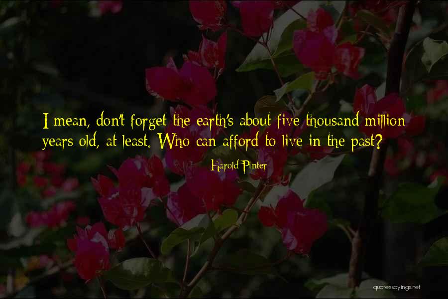 I Forget The Past Quotes By Harold Pinter I Forget The Past Quotes By Harold Pinter