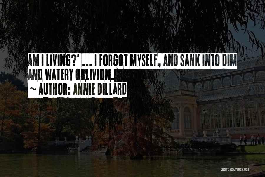 I Forgot Myself Quotes By Annie Dillard