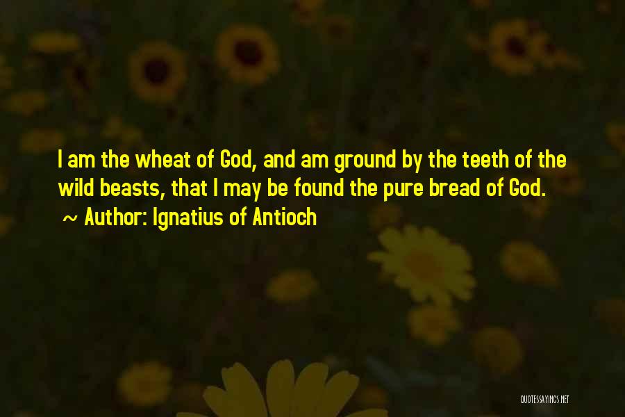 I Found God Quotes By Ignatius Of Antioch