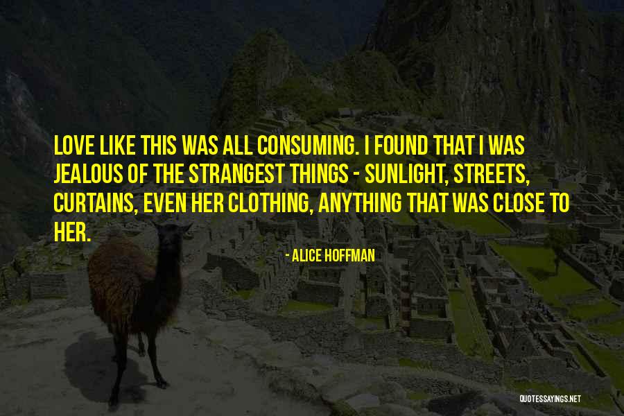 I Found Her Quotes By Alice Hoffman