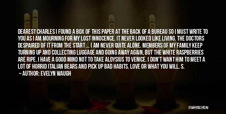 I Found My Lost Love Quotes By Evelyn Waugh