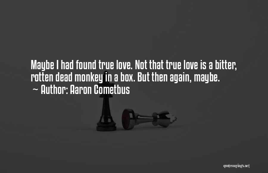 I Found True Love Quotes By Aaron Cometbus