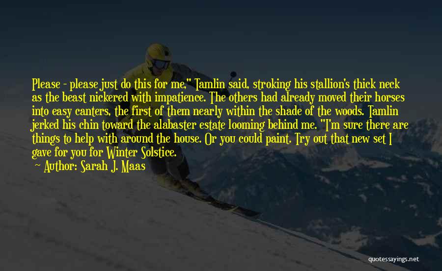 I Gave You Quotes By Sarah J. Maas