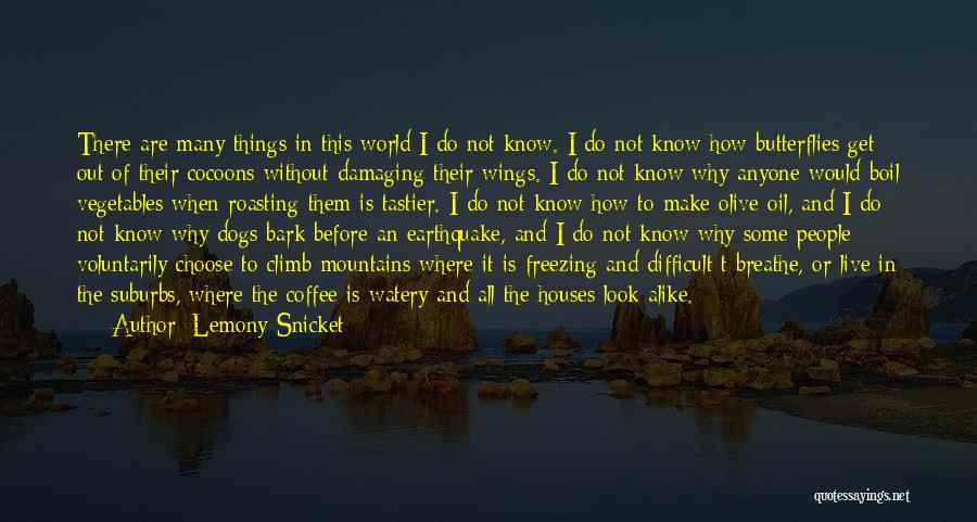 I Get Butterflies Quotes By Lemony Snicket