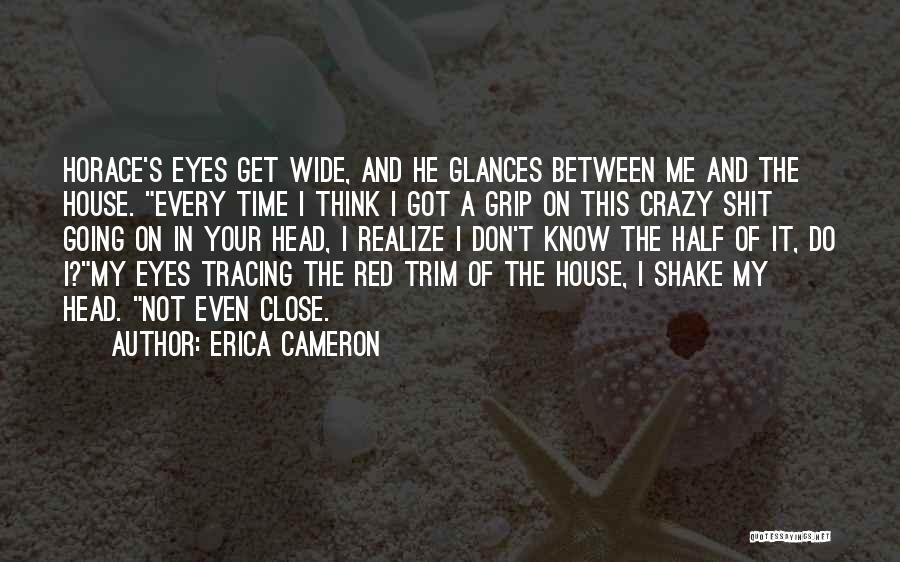 I Get Crazy Quotes By Erica Cameron