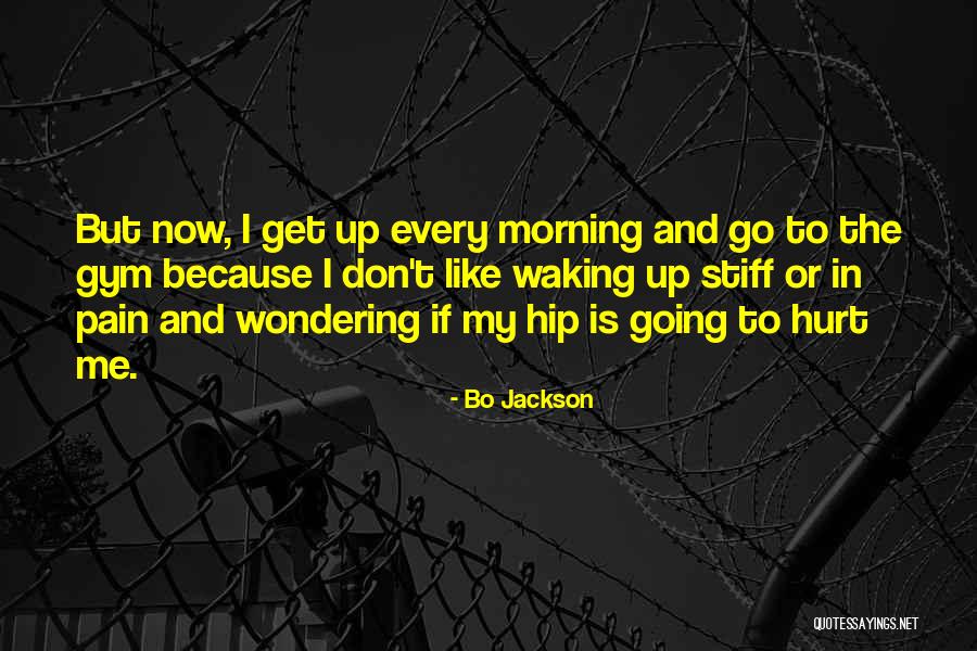 I Get Hurt Quotes By Bo Jackson I Get Hurt Quotes By Bo Jackson