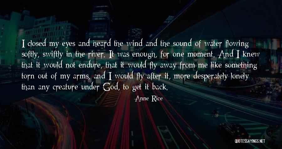 I Get Lonely Quotes By Anne Rice