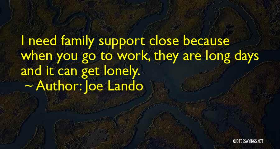 I Get Lonely Quotes By Joe Lando