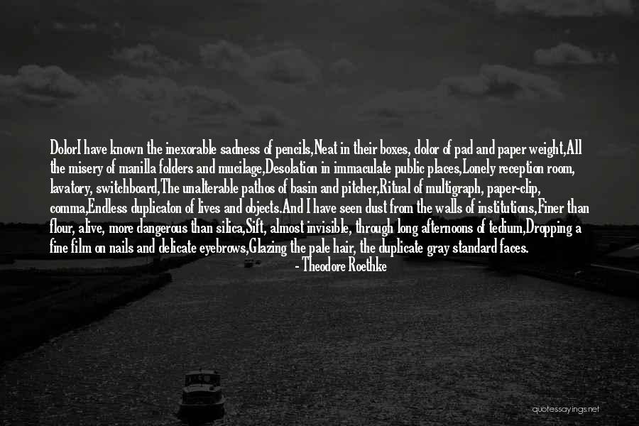 I Get Lonely Too Quotes By Theodore Roethke