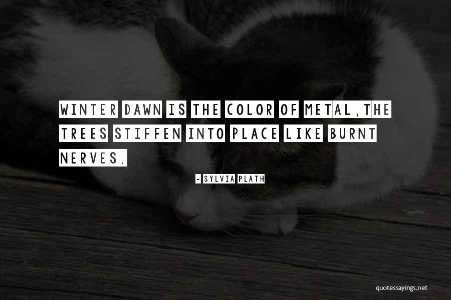 I Get On His Nerves Quotes By Sylvia Plath I Get On His Nerves Quotes By Sylvia Plath