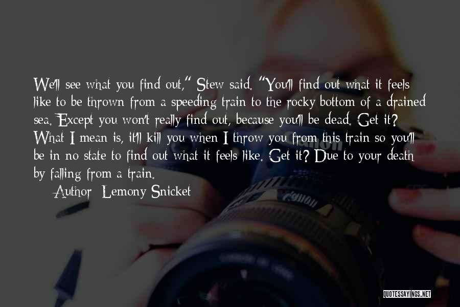I Get To See You Quotes By Lemony Snicket