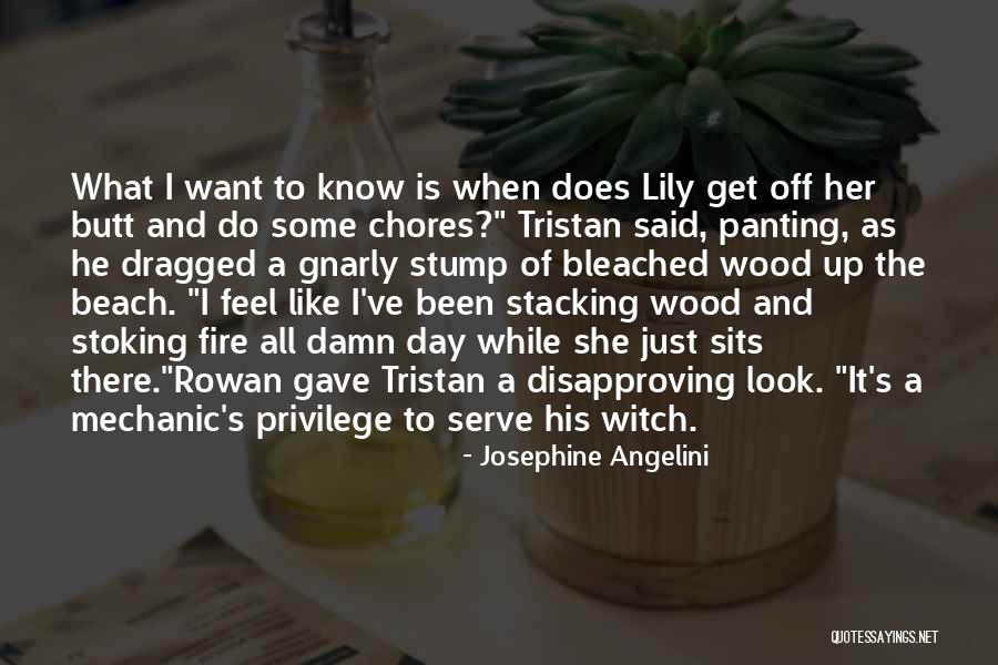 I Get What I Want Quotes By Josephine Angelini I Get What I Want Quotes By Josephine Angelini