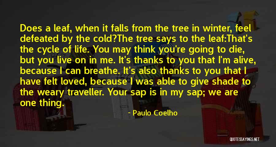 I Give Thanks Quotes By Paulo Coelho I Give Thanks Quotes By Paulo Coelho