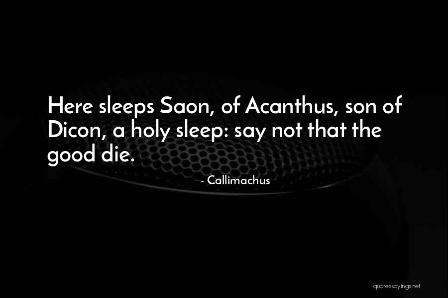 I Give Up On Trying To Make Things Work Quotes By Callimachus I Give Up On Trying To Make Things Work Quotes By Callimachus