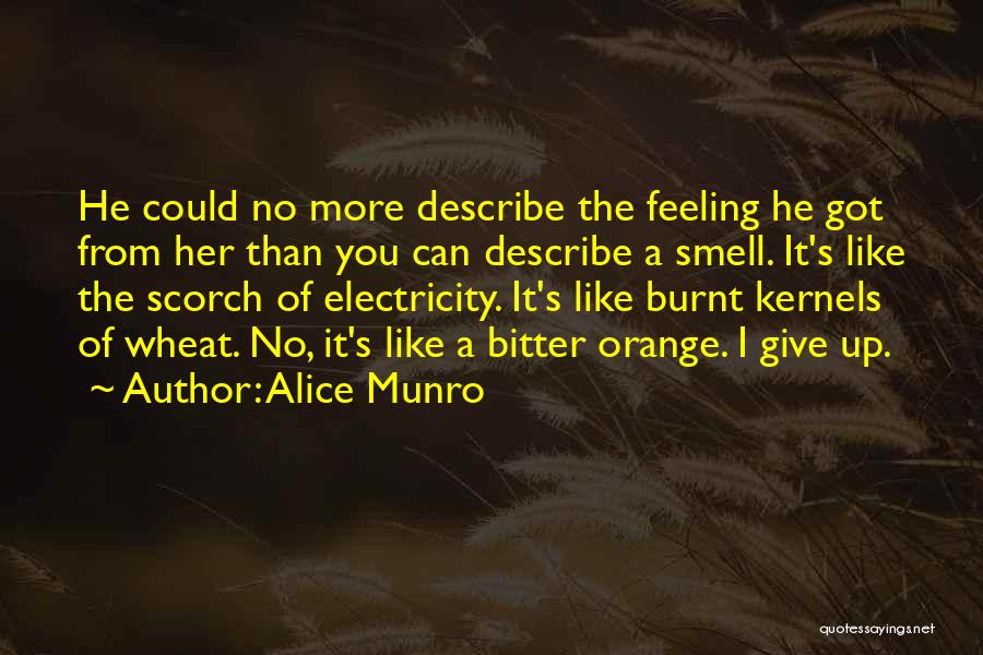 I Give Up Quotes By Alice Munro