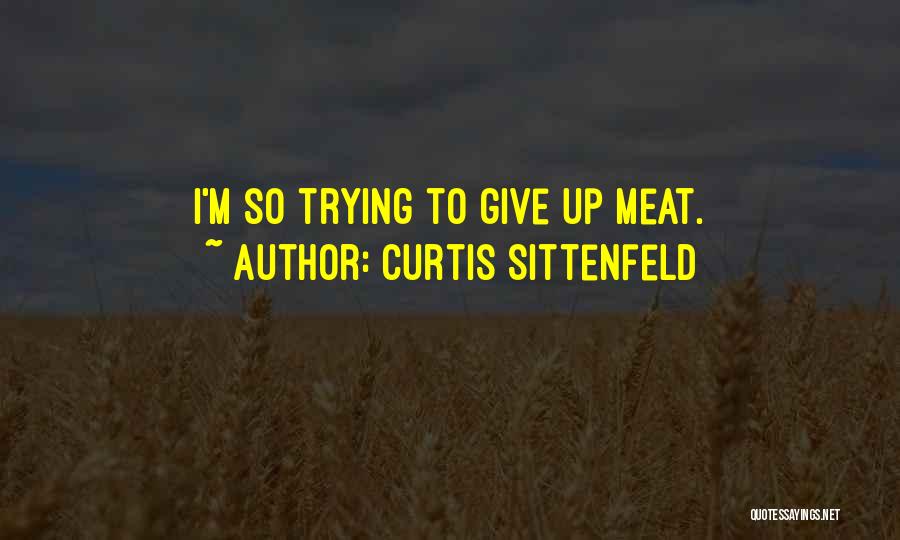 I Give Up Trying Quotes By Curtis Sittenfeld