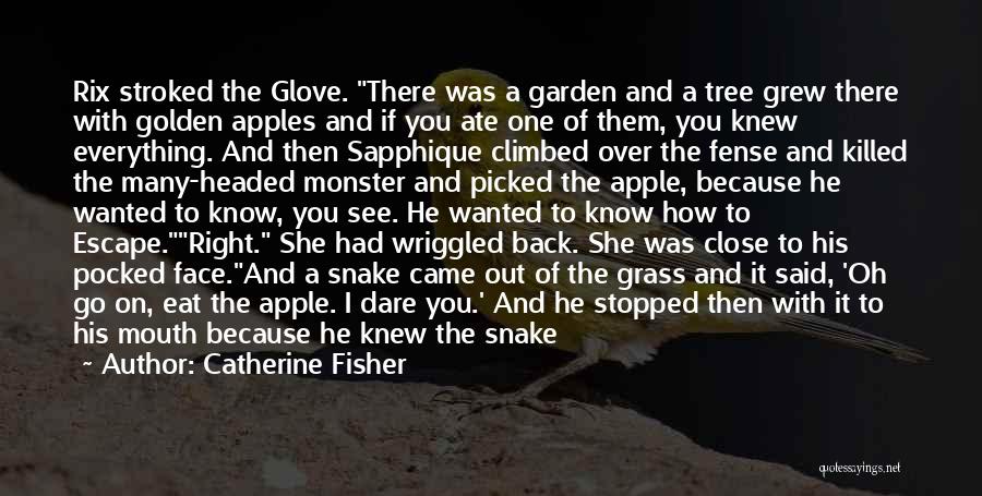 I Give You Everything Quotes By Catherine Fisher