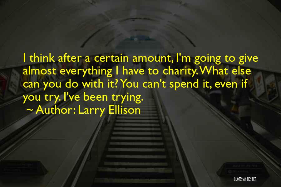 I Give You Everything Quotes By Larry Ellison