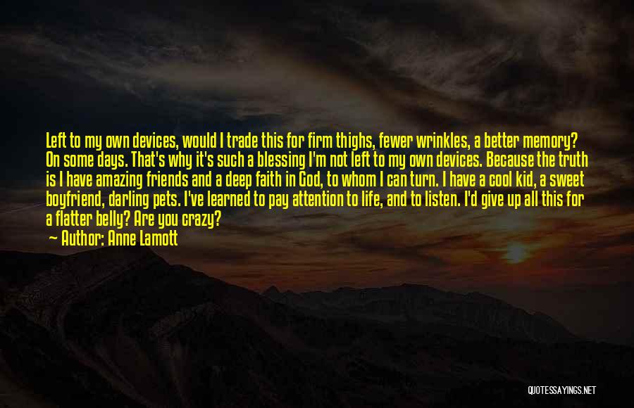 I Give You My Life Quotes By Anne Lamott