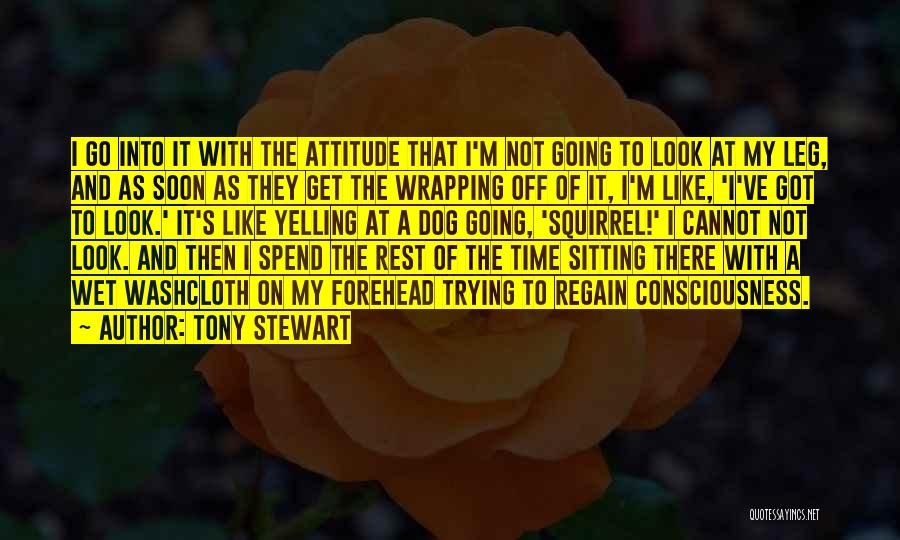 I Got Attitude Quotes By Tony Stewart