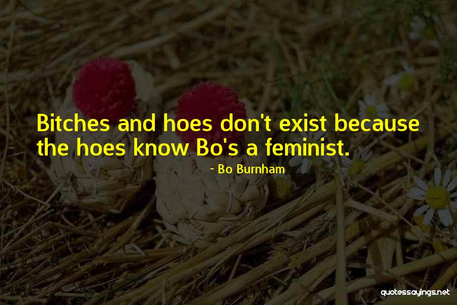 I Got Hoes Quotes By Bo Burnham