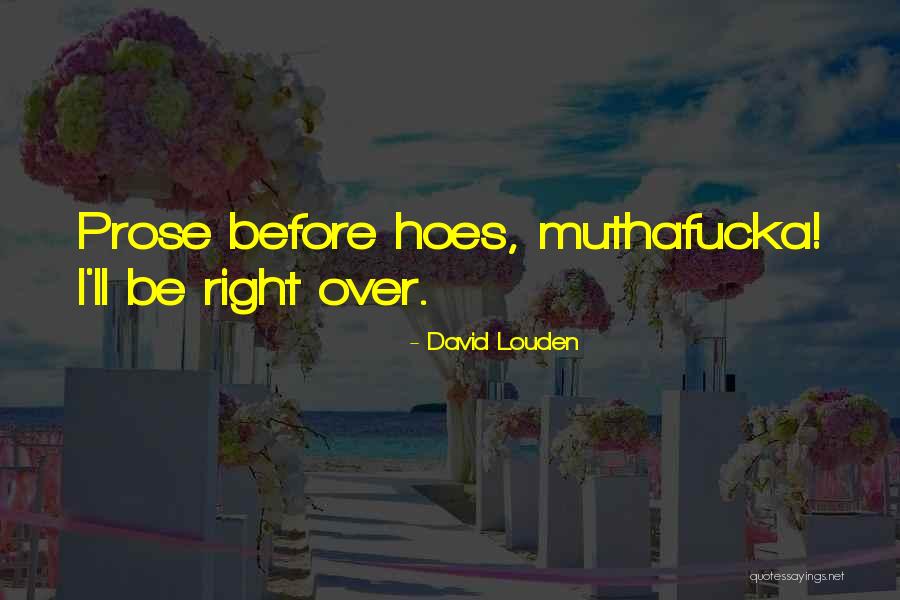 I Got Hoes Quotes By David Louden