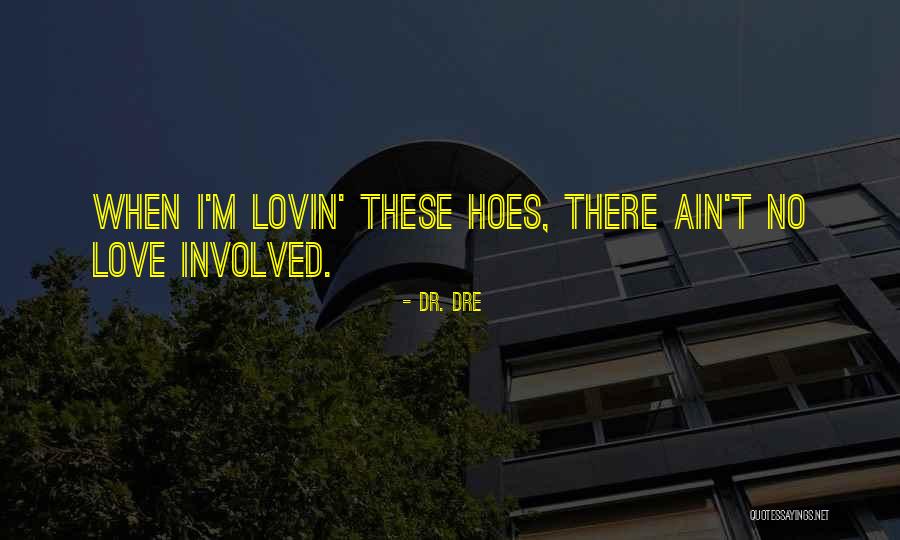 I Got Hoes Quotes By Dr. Dre