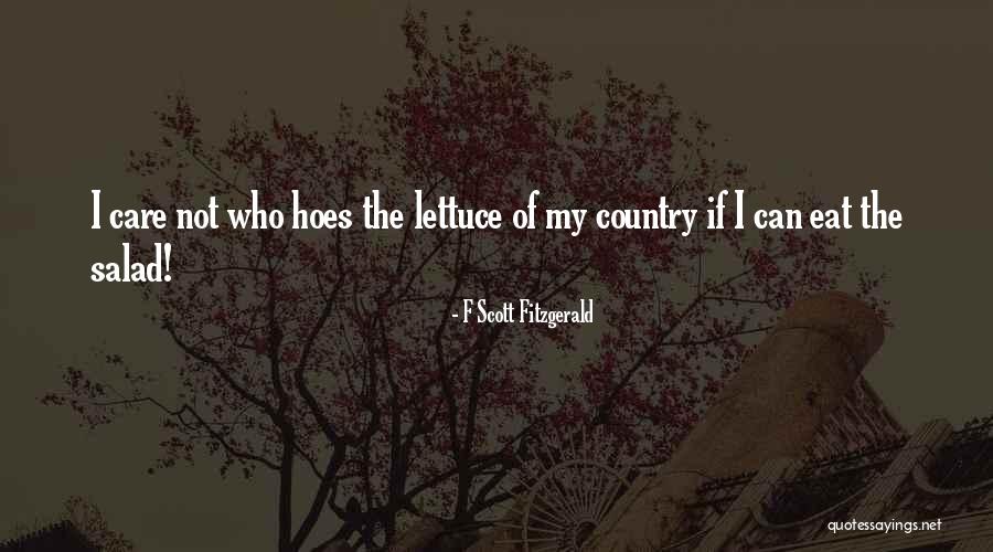 I Got Hoes Quotes By F Scott Fitzgerald I Got Hoes Quotes By F Scott Fitzgerald